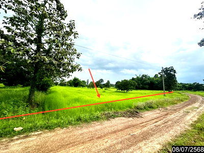 ที่ดิน อุบลราชธานี : ที่ดินว่างเปล่า 6306 ตร.วา เดชอุดม อุบลราชธานี 1.9M