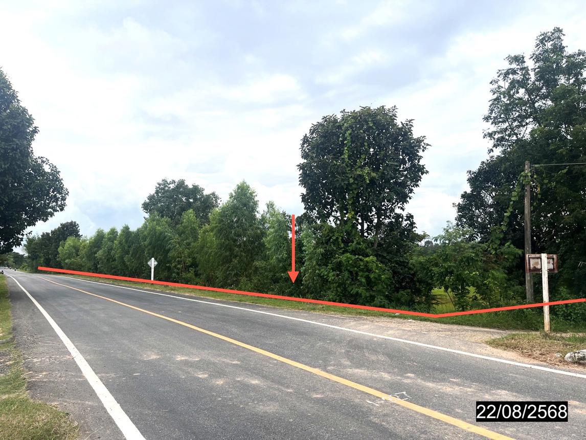 picture LAND 4242 Sq.w. Yang Si Surat Maha Sarakham for 2.8M - 10/19