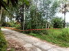 listing thumbnail image 20