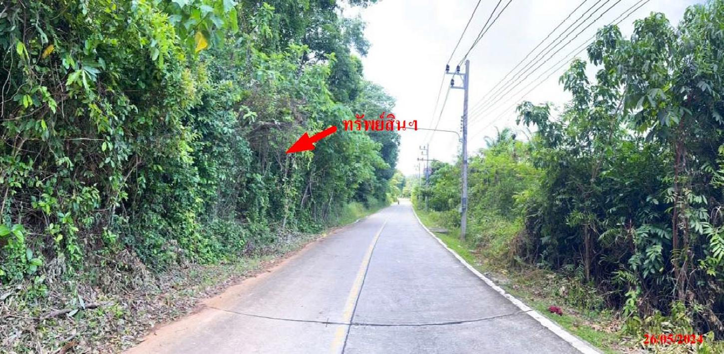 รูป ที่ดินว่างเปล่า 6417.1 ตร.วา เมืองภูเก็ต ภูเก็ต 109M - รูปที่ 9/19
