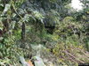 listing thumbnail image 38