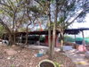 listing thumbnail image 36