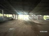 listing thumbnail image 26