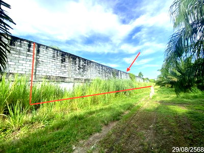 Land for sale Ban Bung Chonburi : LAND 1016.8 Sq.w. Ban Bung Chonburi for 13.6M