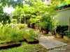 listing thumbnail image 13