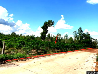 Land for sale Nong Han Udon Thani : LAND 12300 Sq.w. Nong Han Udon Thani for 2.3M