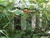 listing thumbnail image 27