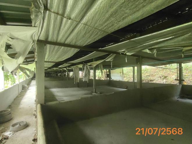 picture HOME 4455.3 Sq.w. Takua Thung Phangnga for 3.8M - 14/43