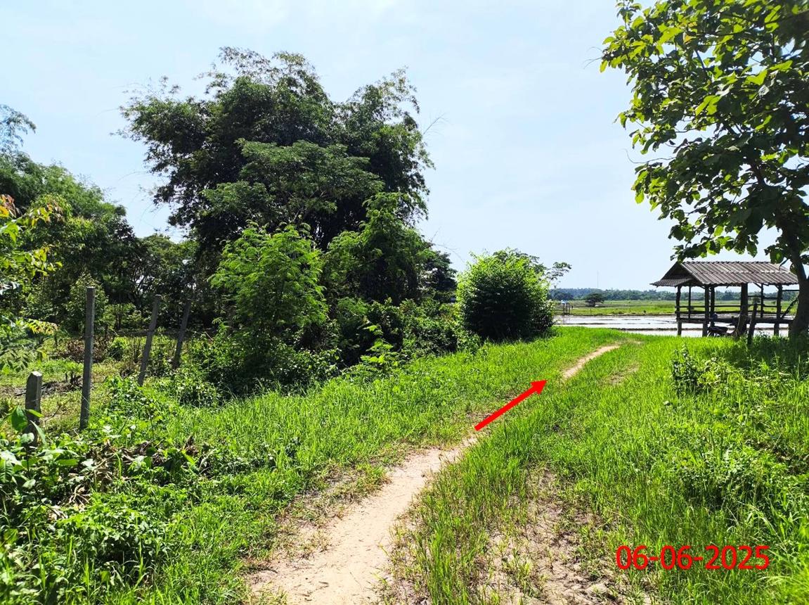 picture LAND 5326 Sq.w. Hang Chat Lamphang for 2.4M - 18/23
