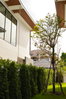 listing thumbnail image 16