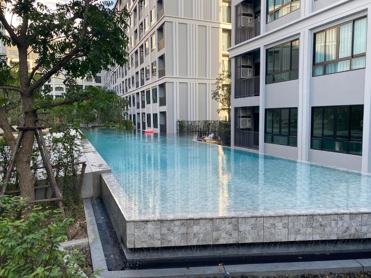 รูป 🔥ด่วน ห้องไปไวมากกก Code: 26KJ5034  ให้เช่า dcondo Campus Resort Rangsit  ✅ Add Line @kjcondo (มี@ข้างหน้าด้วยนะคะ) - รูปที่ 15/16