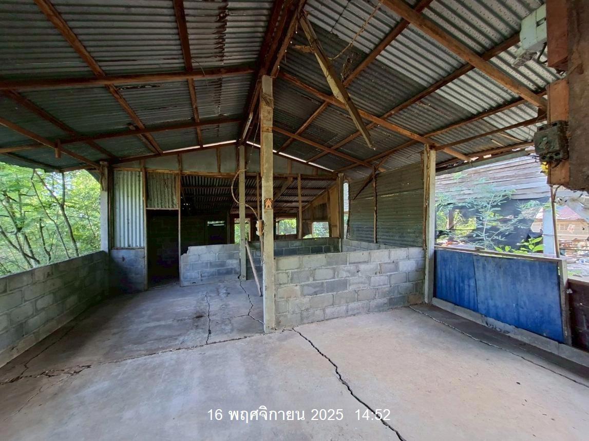 รูป บ้านเดี่ยว 117 ตร.วา หนองไผ่ เพชรบูรณ์ 303,000 - รูปที่ 16/29