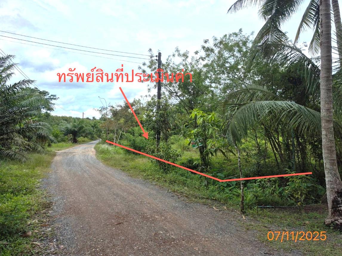 รูป อาคารสำนักงาน 1193.8 ตร.วา ทุ่งสง นครศรีธรรมราช 761,000 - รูปที่ 22/27