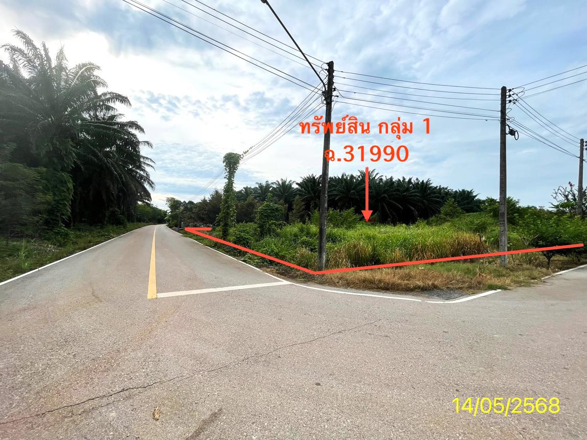 picture LAND 564.2 Sq.w. Palian Trang for 4.2M - 12/25