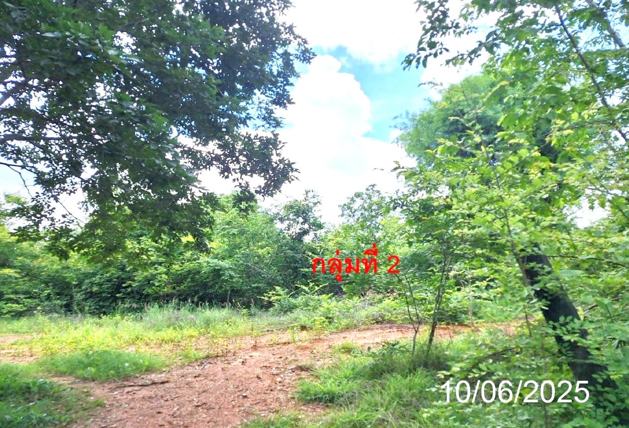 picture LAND 746 Sq.w. Mae Tha Lamphang for 656,000 - 17/21