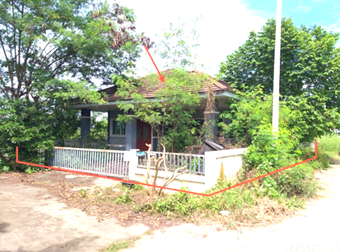 รูป บ้านเดี่ยว 63 ตร.วา Power Tea Home พนมสารคาม ฉะเชิงเทรา 2.5M - รูปที่ 6/13