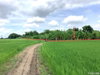 listing thumbnail image 13
