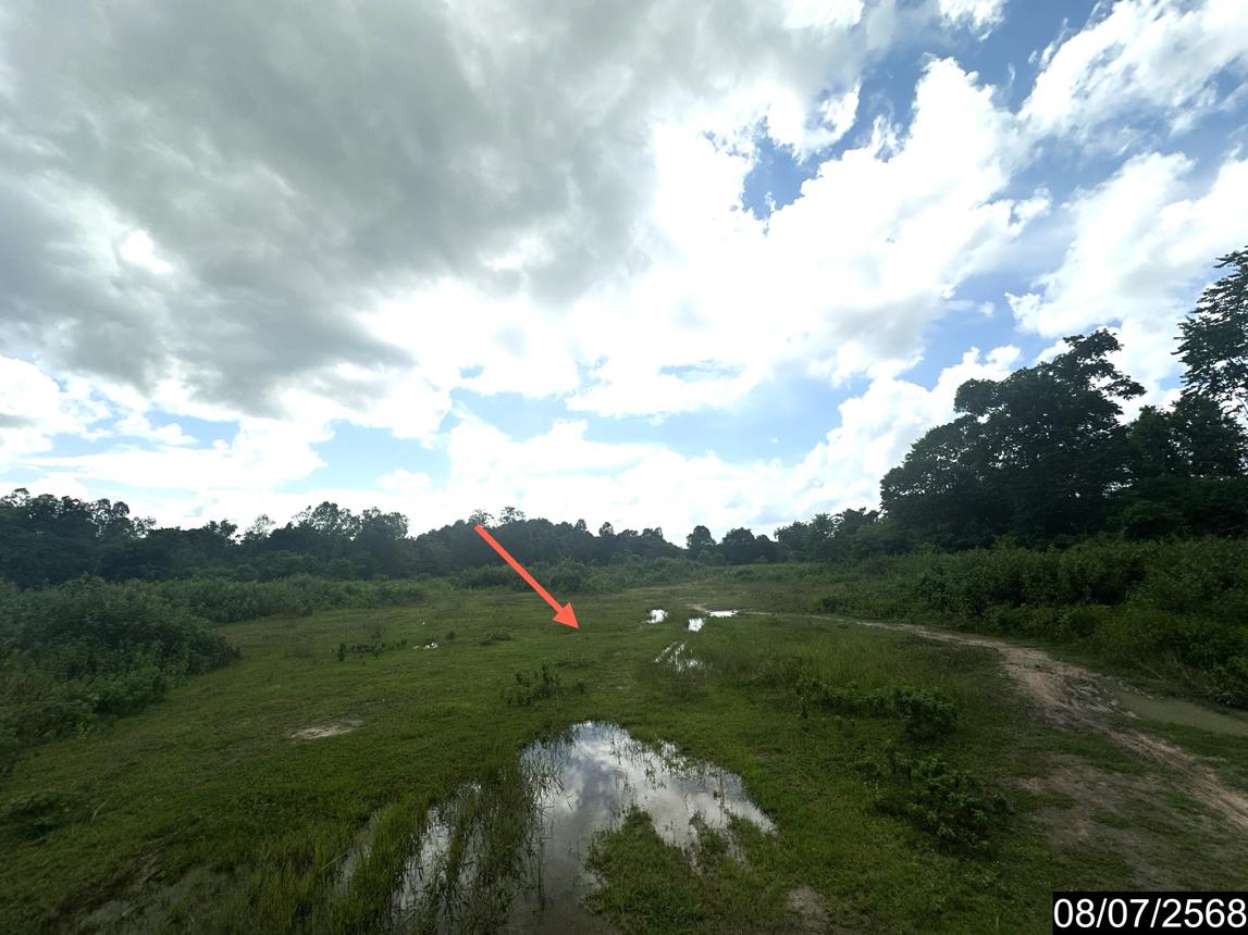 รูป ที่ดินว่างเปล่า 5451.5 ตร.วา นาจะหลวย อุบลราชธานี 8.7M - รูปที่ 15/25