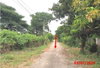 listing thumbnail image 19