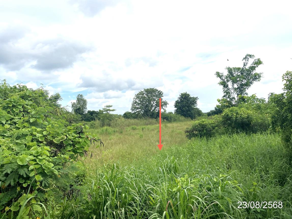 รูป ที่ดินว่างเปล่า 3368 ตร.วา ชนแดน เพชรบูรณ์ 5.1M - รูปที่ 20/25