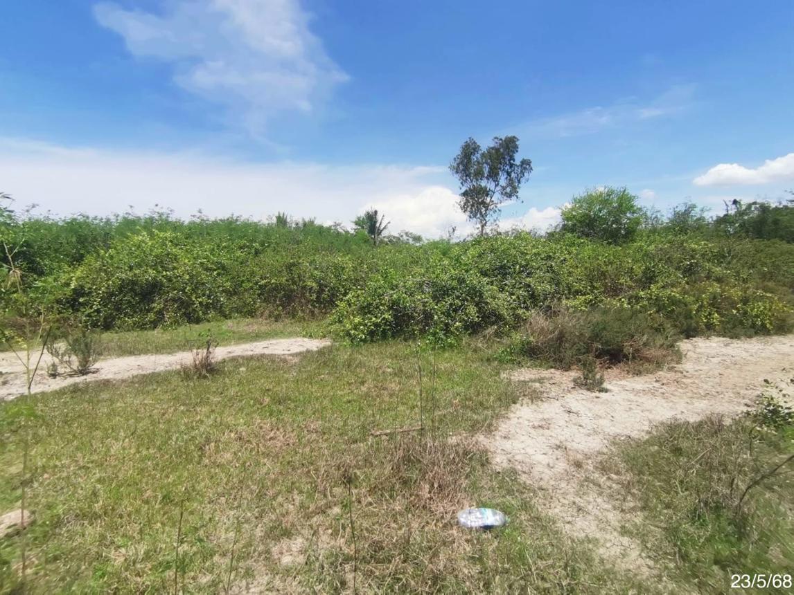 รูป ที่ดินว่างเปล่า 1800 ตร.วา เมืองเพชรบุรี เพชรบุรี 1.3M - รูปที่ 18/25