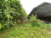 listing thumbnail image 17
