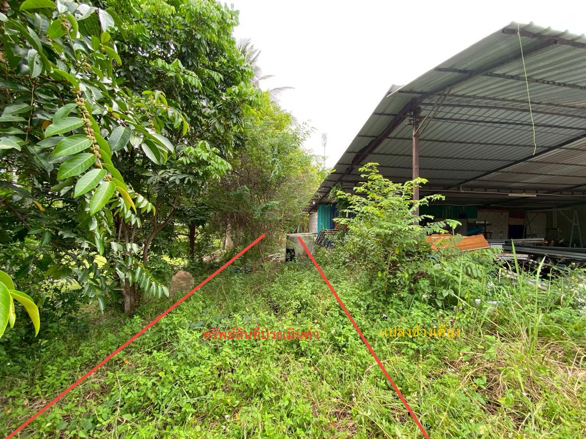 รูป ที่ดินว่างเปล่า 727.8 ตร.วา รัตภูมิ สงขลา 8.1M - รูปที่ 18/25