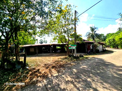 บ้านเดี่ยว ชัยนาท : บ้านเดี่ยว 135 ตร.วา หันคา ชัยนาท 543,000