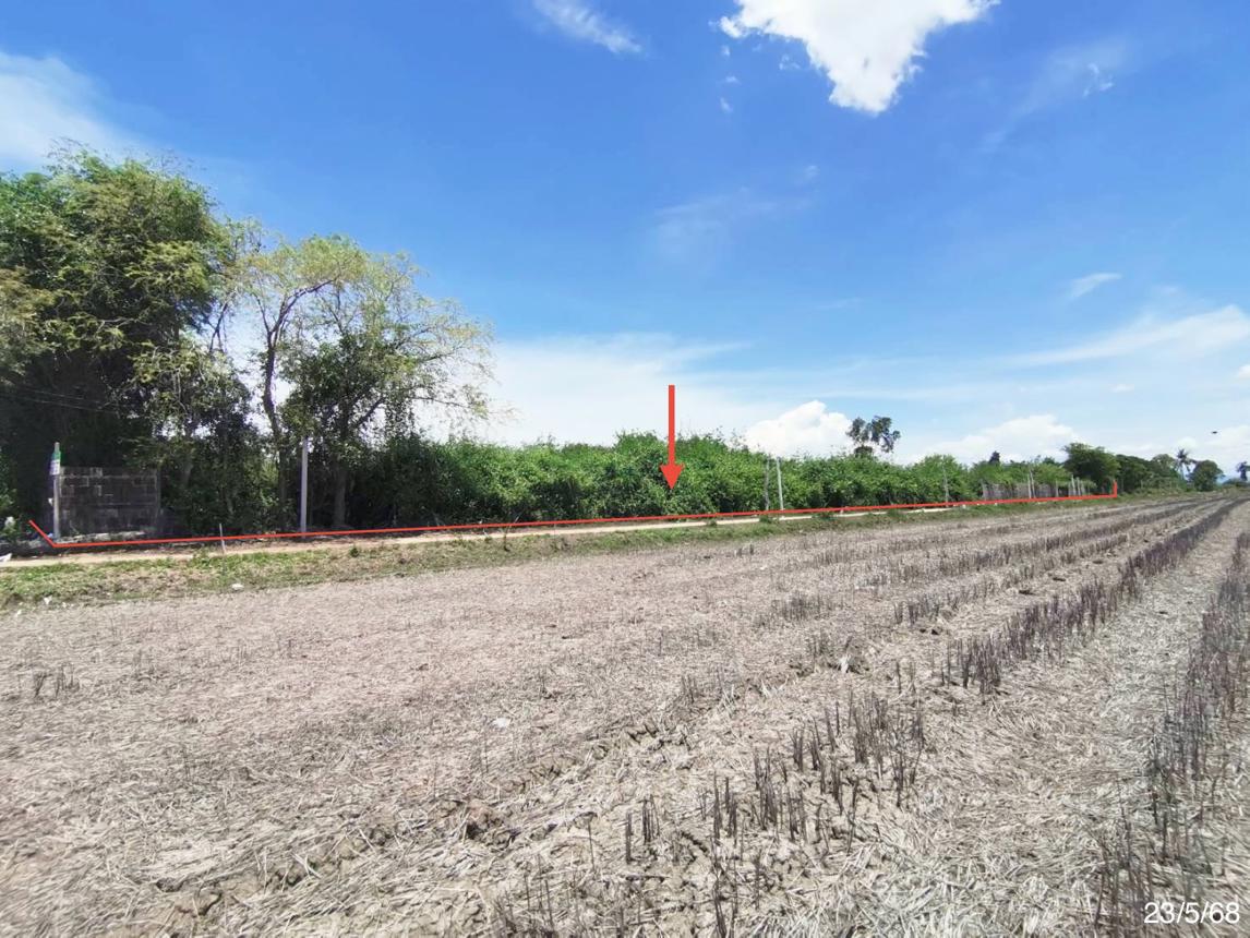 รูป ที่ดินว่างเปล่า 1800 ตร.วา เมืองเพชรบุรี เพชรบุรี 1.3M - รูปที่ 13/25