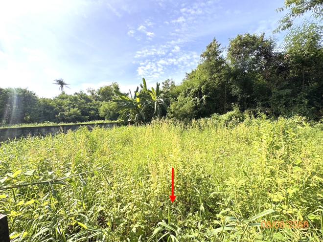 picture LAND 211.8 Sq.w. Bang Khae Bangkok for 6.5M - 5/15
