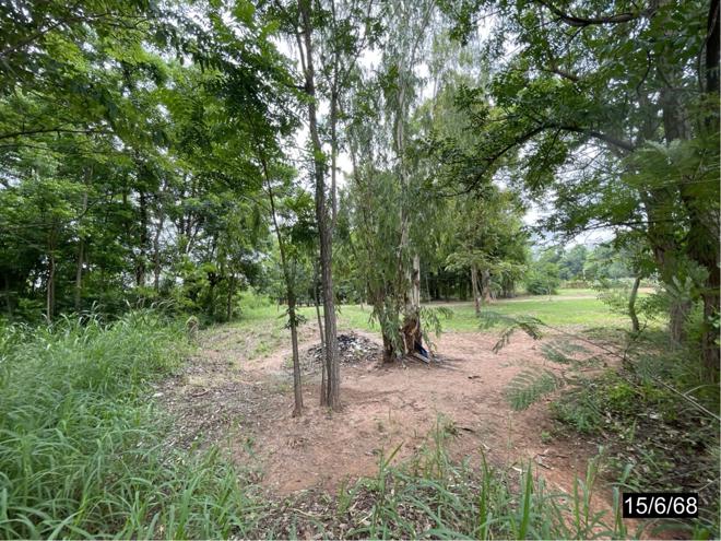 picture LAND 2000 Sq.w. Muang Khon Kaen Khon Kaen for 3M - 7/25