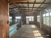 listing thumbnail image 25