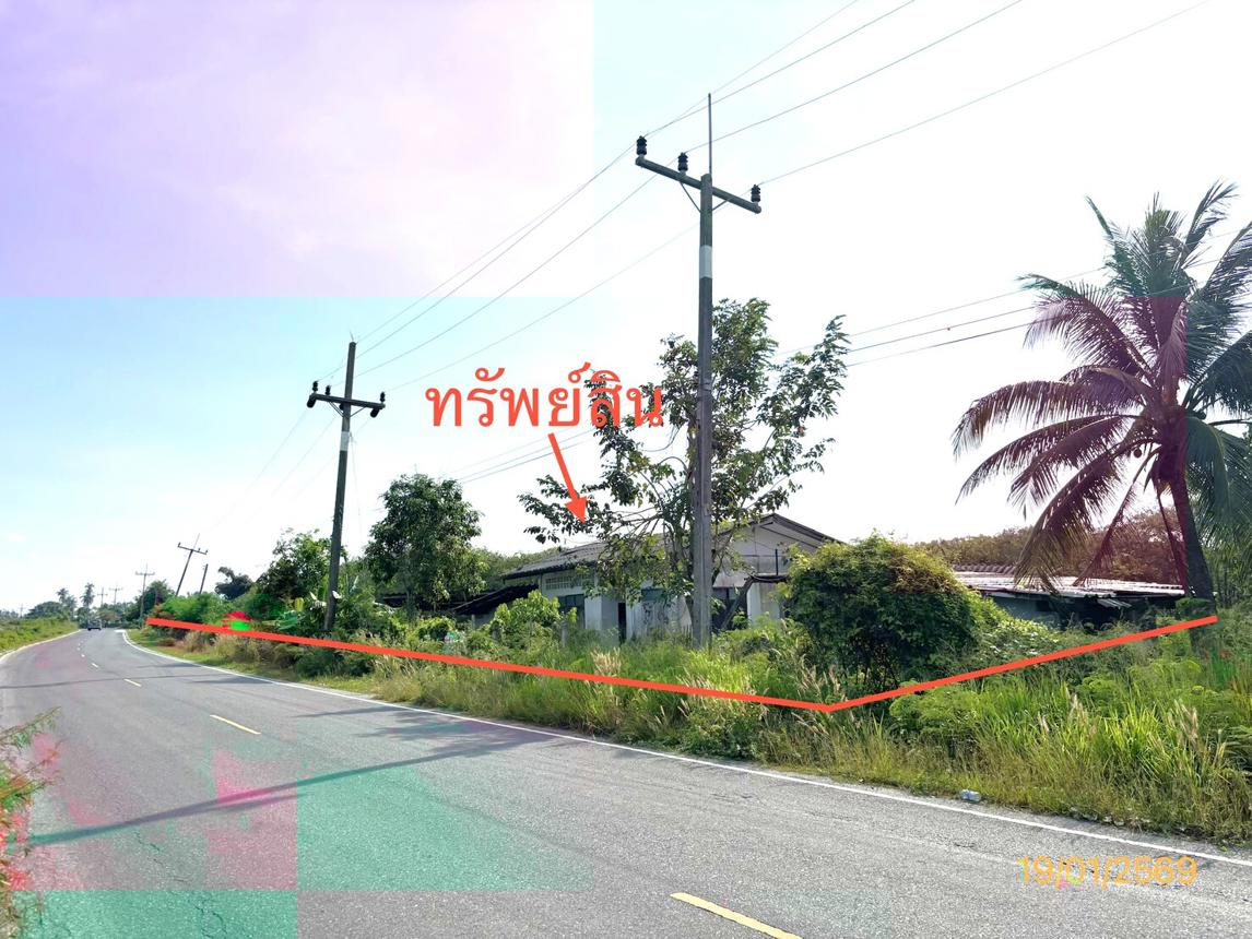 รูป บ้านเดี่ยว 4945 ตร.วา กาญจนดิษฐ์ สุราษฎร์ธานี 2.3M - รูปที่ 28/33