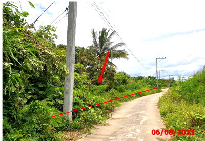 Land for sale Ban Hong Lamphun : LAND 1248 Sq.w. Ban Hong Lamphun for 713,000