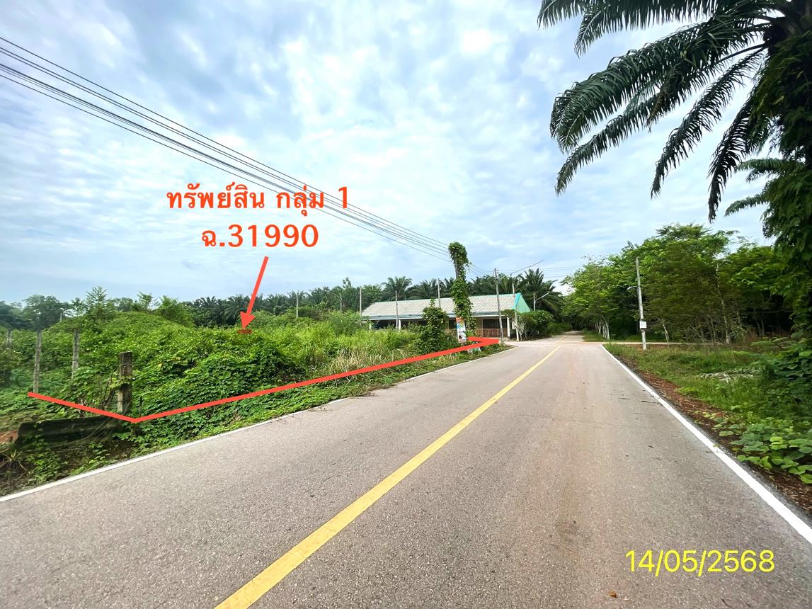 picture LAND 564.2 Sq.w. Palian Trang for 4.2M - 13/25