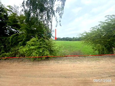 Land for sale Kaset Wisai Roi Et : LAND 1235 Sq.w. Kaset Wisai Roi Et for 1.2M
