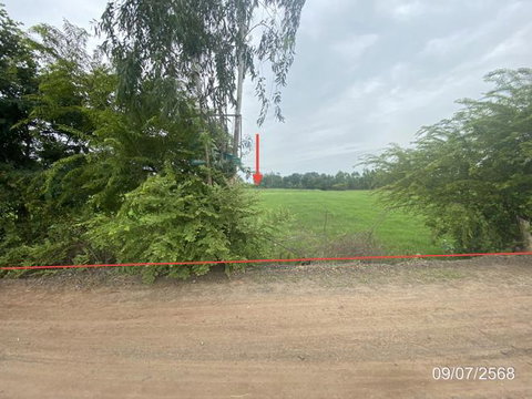 LAND 1235 Sq.w. Kaset Wisai Roi Et for 1.2M