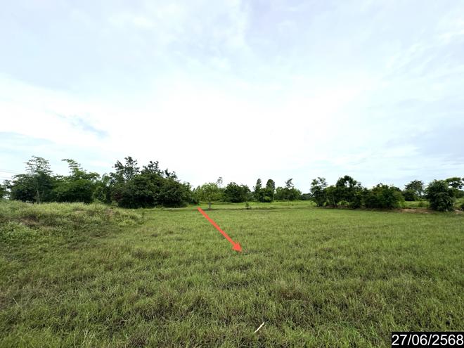 รูป ที่ดินว่างเปล่า 5664 ตร.วา เดชอุดม อุบลราชธานี 6.1M - รูปที่ 6/25