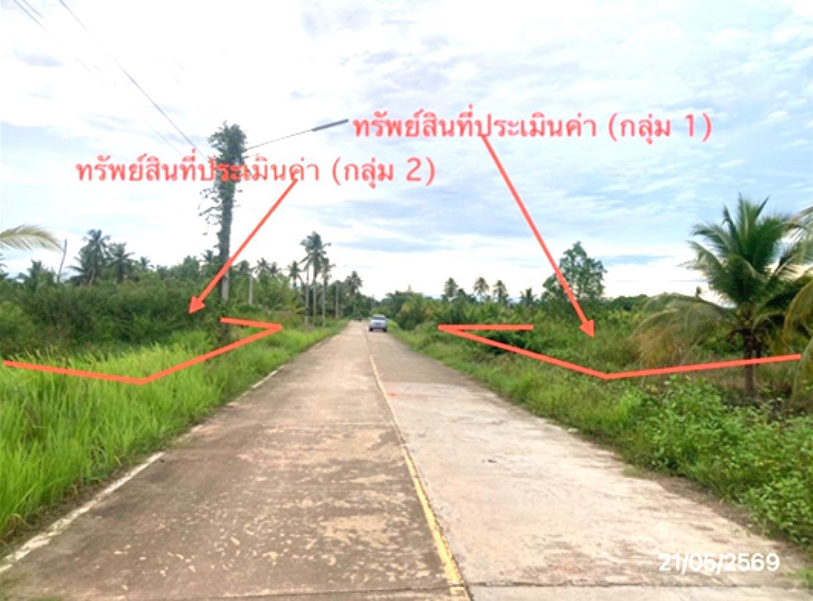 รูป ที่ดินว่างเปล่า 1945.7 ตร.วา เมืองสุราษฎร์ธานี สุราษฎร์ธานี 5.2M - รูปที่ 13/25