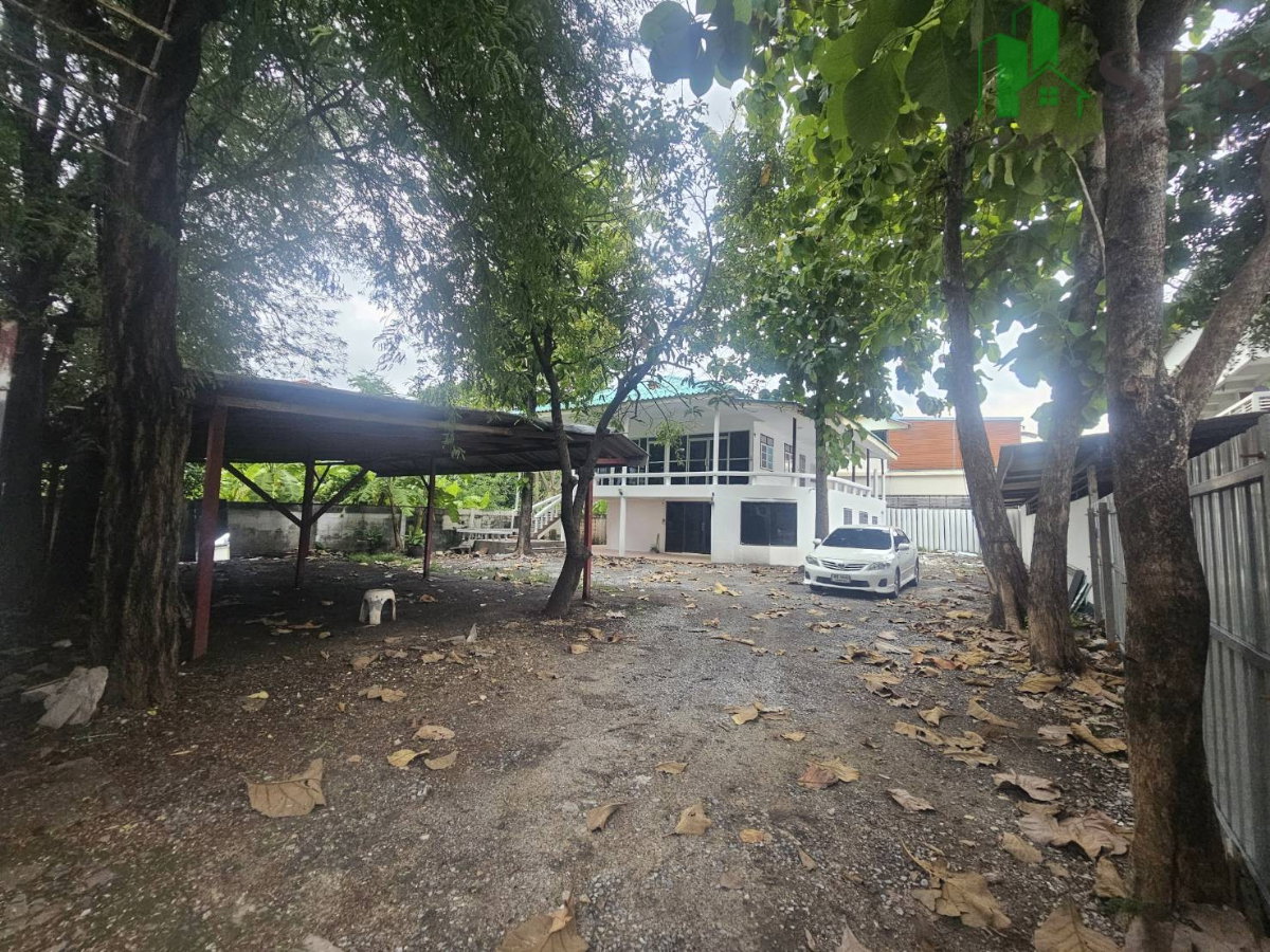 รูป ให้เช่า บ้านเดี่ยว / Home Office ย่านพัฒนาการ จดทะเบียนบริษัทได้ (SPSAD4158) - รูปที่ 31/31