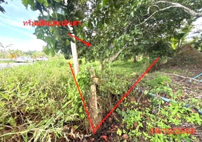 picture LAND 379.5 Sq.w. Muang Surat Thani Surat Thani for 1.7M - 4/21