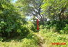 listing thumbnail image 4