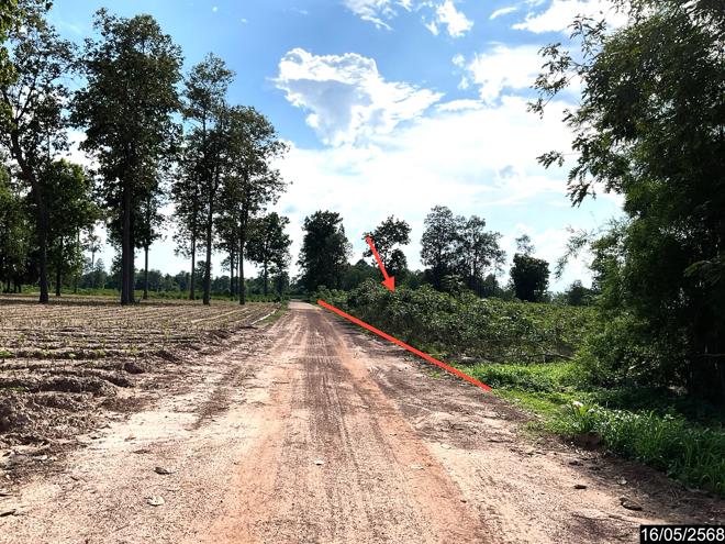 picture LAND 12300 Sq.w. Nong Han Udon Thani for 2.3M - 8/25