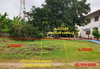 listing thumbnail image 35
