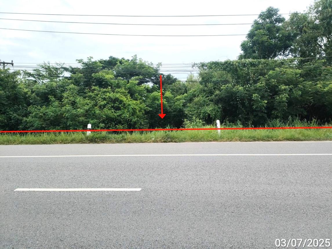 picture LAND 1753 Sq.w. Chiang Yun Maha Sarakham for 11.4M - 9/19