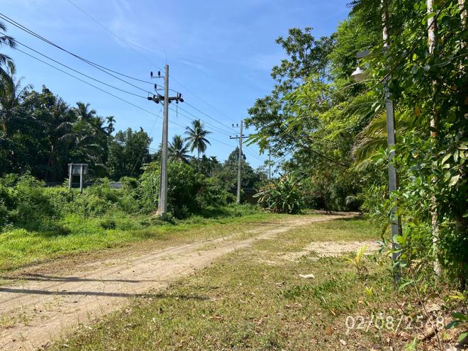 picture LAND 320 Sq.w. Kong Ra Phatthalung for 2M - 6/21