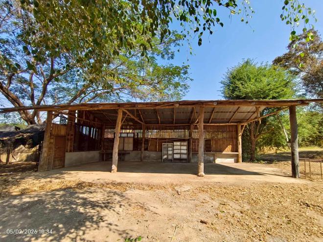picture HOME 17744 Sq.w. Dok Kham Tai Phayao for 9.1M - 15/35