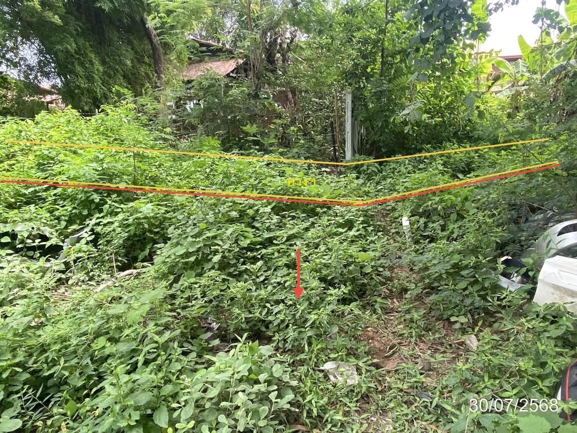 picture LAND 202 Sq.w. Chiang Yun Maha Sarakham for 296,000 - 14/21