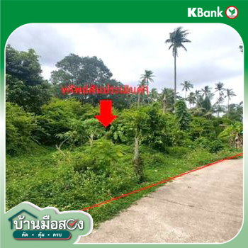 รูป ที่ดินว่างเปล่า 1708 ตร.วา เกาะสมุย สุราษฎร์ธานี 12.7M - รูปที่ 15/17