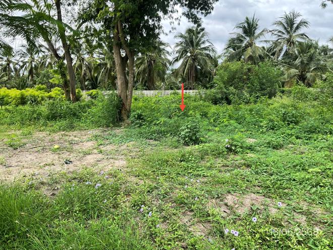 รูป ที่ดินว่างเปล่า 225 ตร.วา กฤษดา ซิตี้ กอล์ฟ ฮิลล์ 26 นครชัยศรี นครปฐม 4.3M - รูปที่ 6/25